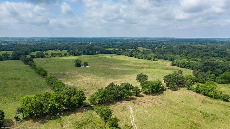 Land Analysis